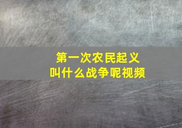 第一次农民起义叫什么战争呢视频