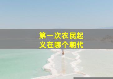 第一次农民起义在哪个朝代