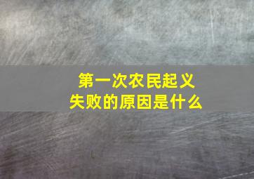 第一次农民起义失败的原因是什么