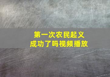 第一次农民起义成功了吗视频播放