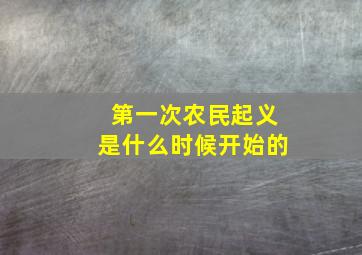 第一次农民起义是什么时候开始的