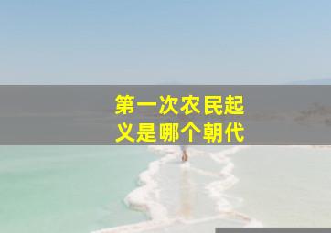 第一次农民起义是哪个朝代