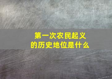 第一次农民起义的历史地位是什么