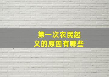 第一次农民起义的原因有哪些