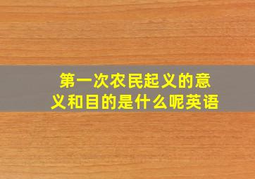 第一次农民起义的意义和目的是什么呢英语