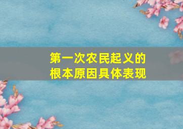 第一次农民起义的根本原因具体表现