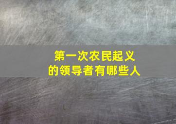 第一次农民起义的领导者有哪些人