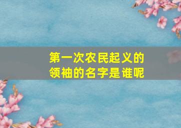 第一次农民起义的领袖的名字是谁呢