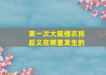 第一次大规模农民起义在哪里发生的