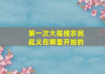 第一次大规模农民起义在哪里开始的