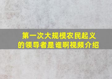 第一次大规模农民起义的领导者是谁啊视频介绍