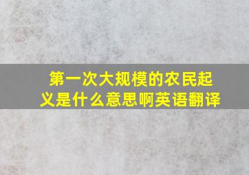 第一次大规模的农民起义是什么意思啊英语翻译