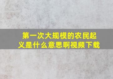 第一次大规模的农民起义是什么意思啊视频下载