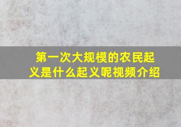 第一次大规模的农民起义是什么起义呢视频介绍