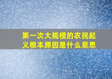 第一次大规模的农民起义根本原因是什么意思