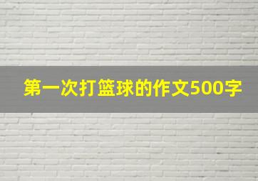 第一次打篮球的作文500字