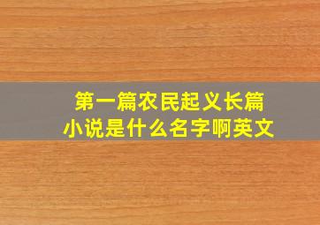 第一篇农民起义长篇小说是什么名字啊英文