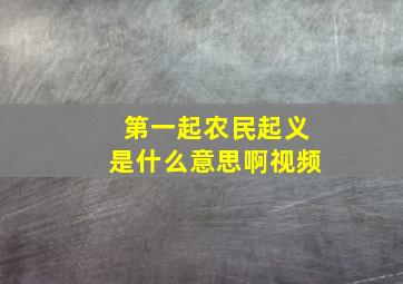 第一起农民起义是什么意思啊视频