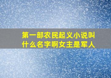 第一部农民起义小说叫什么名字啊女主是军人