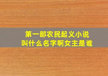 第一部农民起义小说叫什么名字啊女主是谁