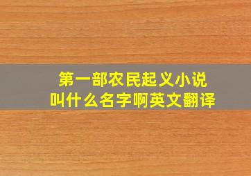 第一部农民起义小说叫什么名字啊英文翻译