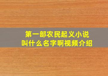 第一部农民起义小说叫什么名字啊视频介绍