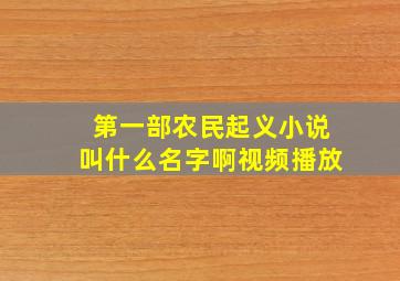 第一部农民起义小说叫什么名字啊视频播放