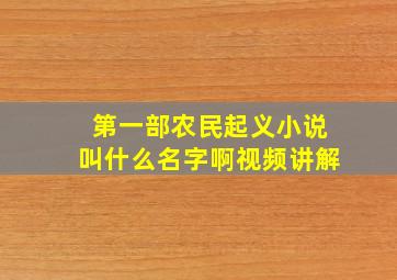 第一部农民起义小说叫什么名字啊视频讲解