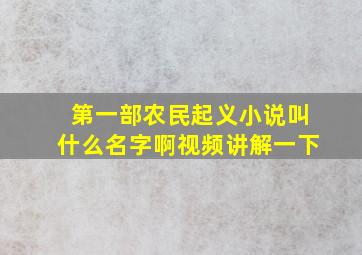 第一部农民起义小说叫什么名字啊视频讲解一下