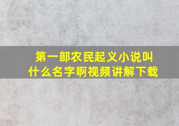 第一部农民起义小说叫什么名字啊视频讲解下载