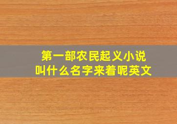 第一部农民起义小说叫什么名字来着呢英文