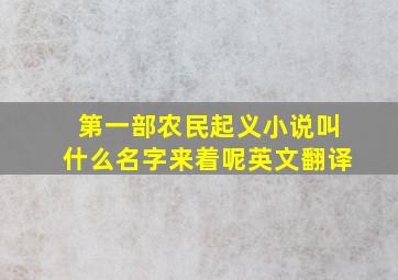 第一部农民起义小说叫什么名字来着呢英文翻译