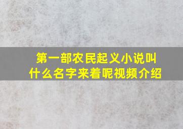 第一部农民起义小说叫什么名字来着呢视频介绍