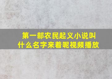 第一部农民起义小说叫什么名字来着呢视频播放