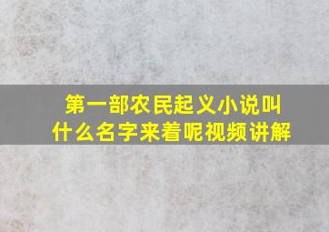 第一部农民起义小说叫什么名字来着呢视频讲解