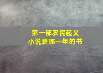 第一部农民起义小说是哪一年的书