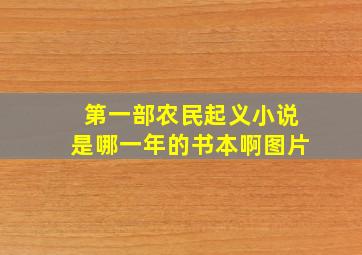 第一部农民起义小说是哪一年的书本啊图片