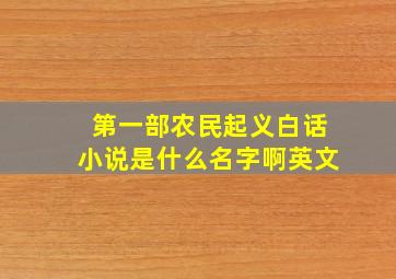 第一部农民起义白话小说是什么名字啊英文