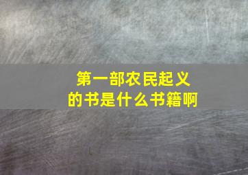 第一部农民起义的书是什么书籍啊