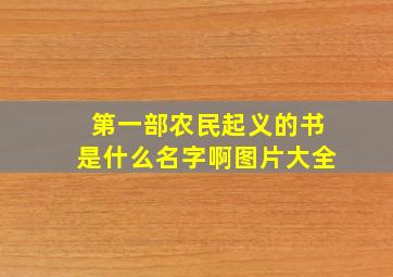 第一部农民起义的书是什么名字啊图片大全