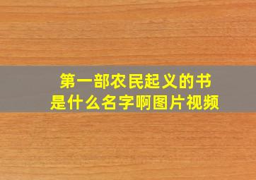 第一部农民起义的书是什么名字啊图片视频