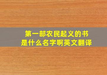 第一部农民起义的书是什么名字啊英文翻译