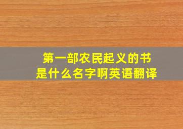 第一部农民起义的书是什么名字啊英语翻译