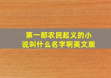 第一部农民起义的小说叫什么名字啊英文版