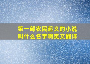 第一部农民起义的小说叫什么名字啊英文翻译