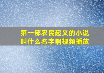 第一部农民起义的小说叫什么名字啊视频播放