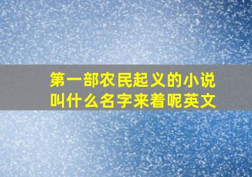 第一部农民起义的小说叫什么名字来着呢英文