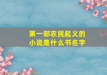 第一部农民起义的小说是什么书名字