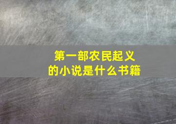 第一部农民起义的小说是什么书籍