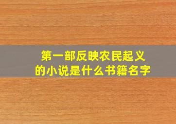 第一部反映农民起义的小说是什么书籍名字